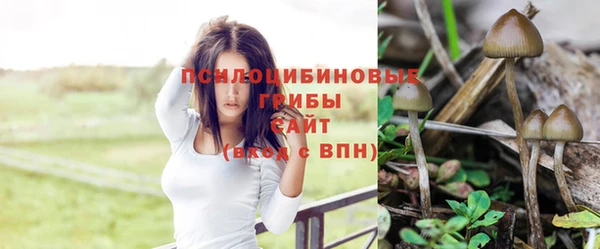 скорость Киреевск