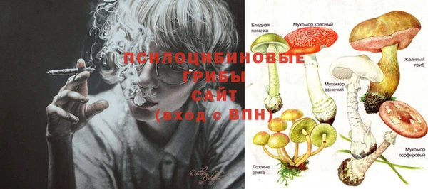 ешки Верхний Тагил